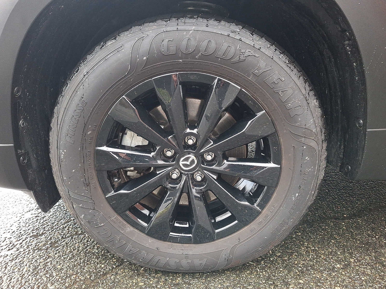 2025 Mazda Mazda CX-50 2.5 S Preferred Package