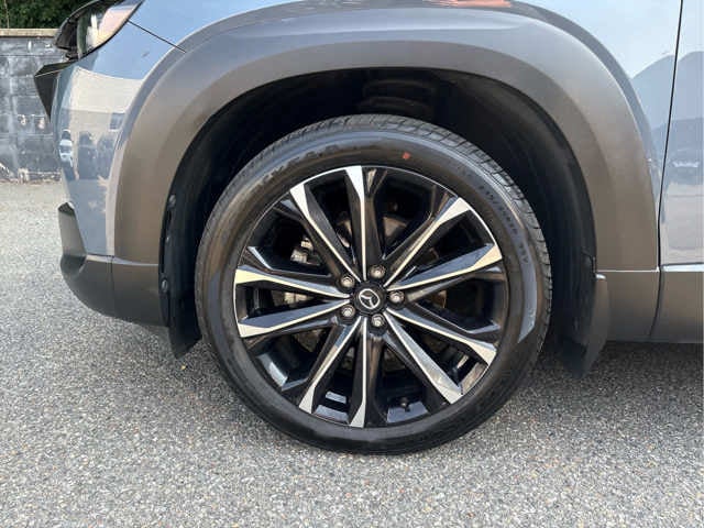 2023 Mazda Mazda CX-50 2.5 S Premium Plus Package