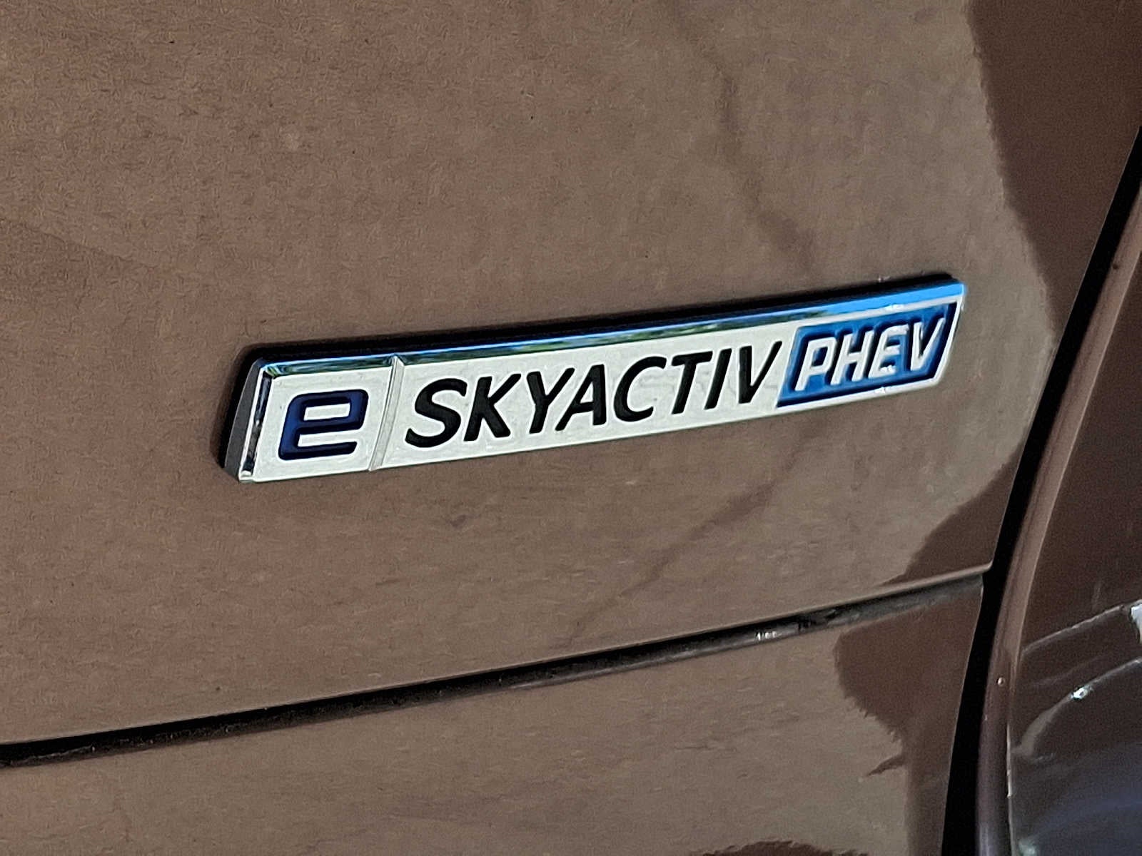 Photo 31